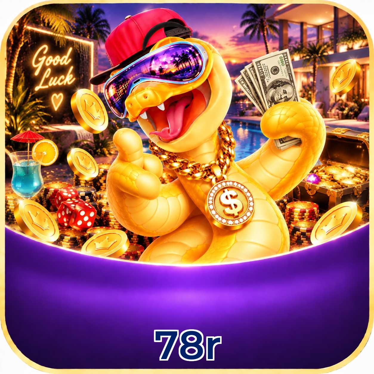 78r VIP Program